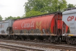 CP 606669